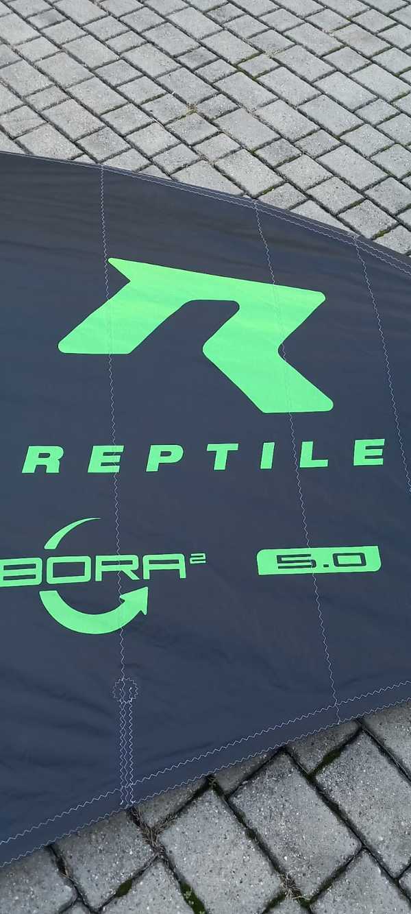 Reptile - Bora 2024