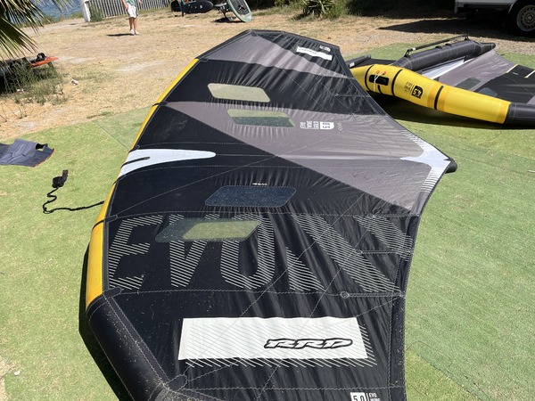 Rrd International - Evo wing gold Y 29