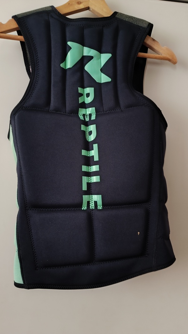 Reptile - 