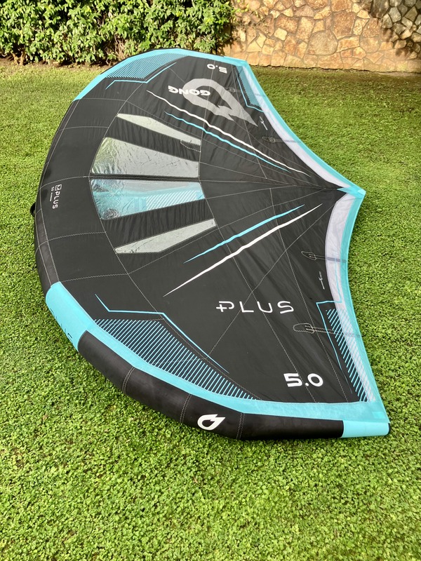 Gong - Wing Plus 5.0 2026