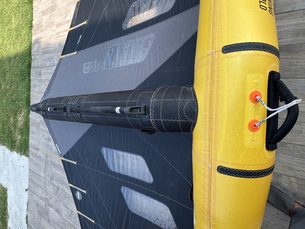 Rrd International - EVO WING GOLD Y29 2024