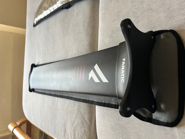 Fanatic - mast Carbon 82cm
