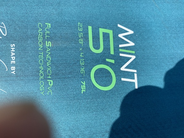 Gong - Mint FSP Carbon 5.0