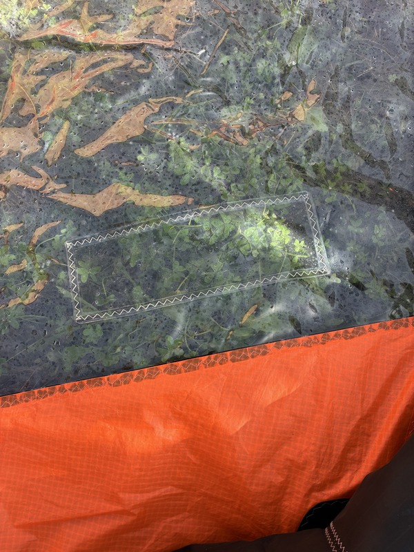 Rrd International - EVO 5,5 mq