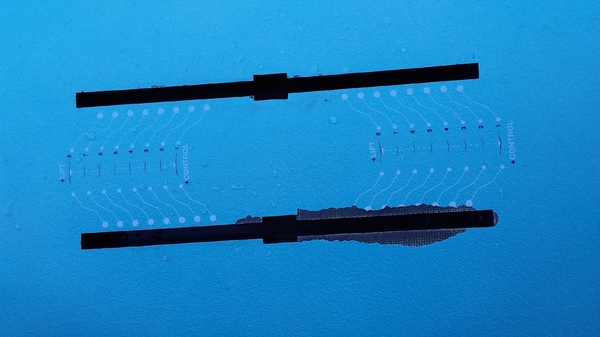 Gong - Mob 2 taste 7,11