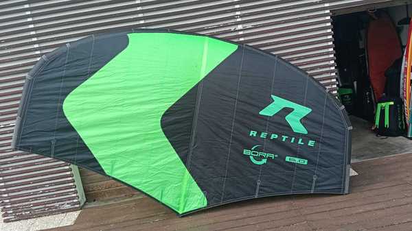 Reptile - Bora anno 2024 - 6.0 m
