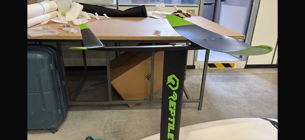 Reptile - Reptile carbon