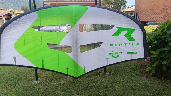 Reptile - Bora 