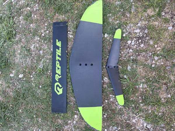 Reptile - Reptile carbon