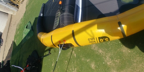 Rrd International - EVO GOLD Y29