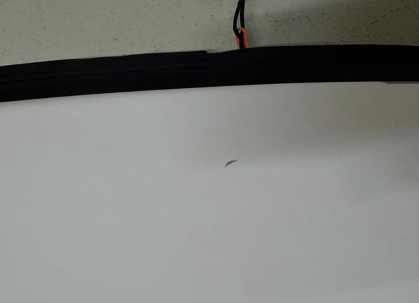 Rrd International - Beluga LTE 2025 Y30