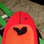 F-One  Rocket s Bamboo 80 litri
