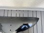 Sabfoil  790