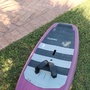 Fanatic  Sky wing 5.0