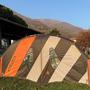 Rrd International  6.0 STRIPE Y27