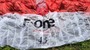 F-One  Parawing Fone Quest 4.5