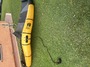 Rrd International  Y29 gold