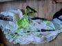 altra  Parawing  brm   maui kanaha 4.7 Kanaha 4.7 mq