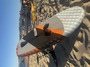 Rrd International  Beluga LTD