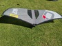 Ozone  wasp