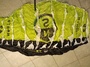 altra  parawing north ranger 4.2 